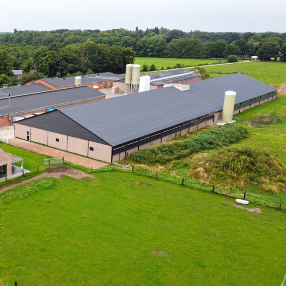 Complete construction of your barn