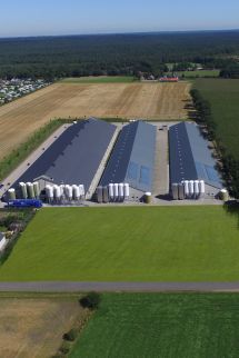 De complete bouw van uw stal