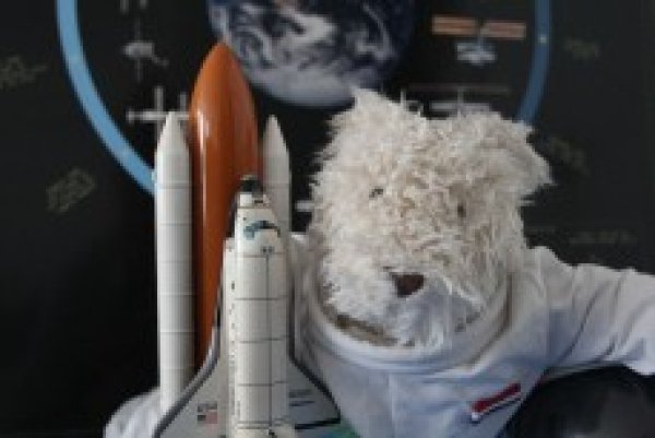 flip de beer wordt astronaut